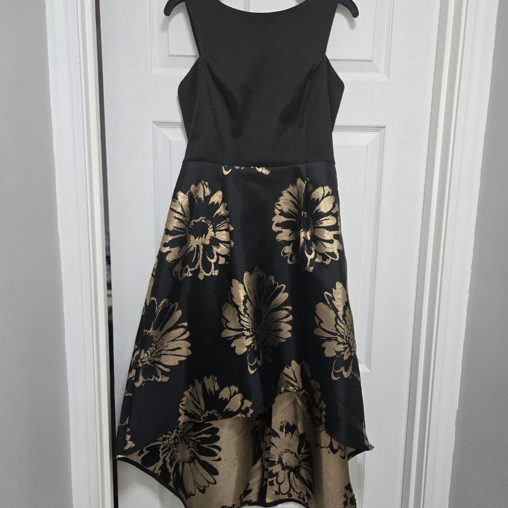 Donna Ricco Black and Tan Sleeveless A-Line Dress